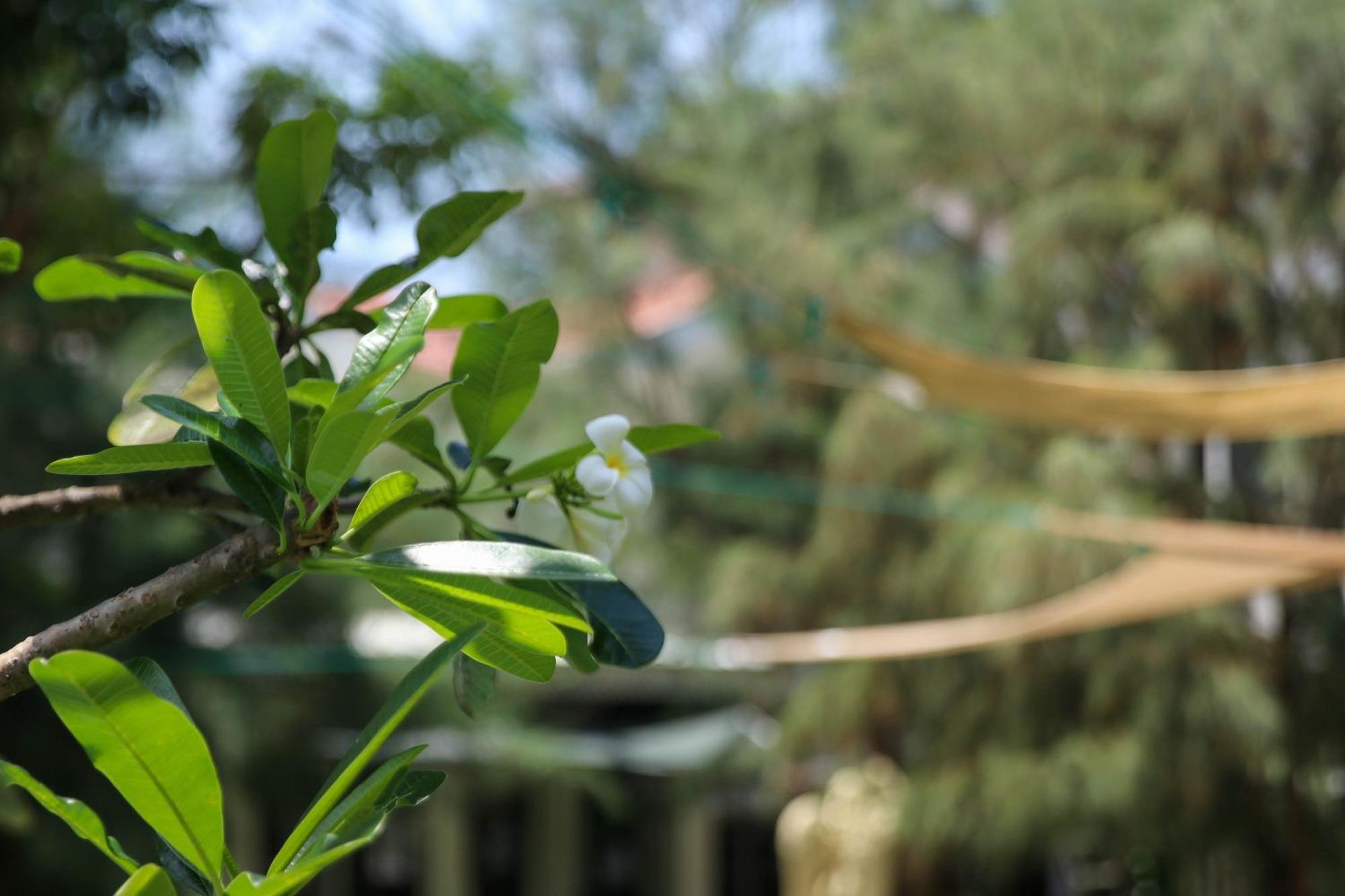 The Kings Bay Hotel By Silvas Negombo Luaran gambar